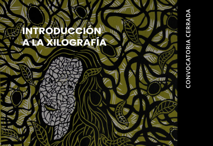 Introduccion-a-la-xilografia_cerrada