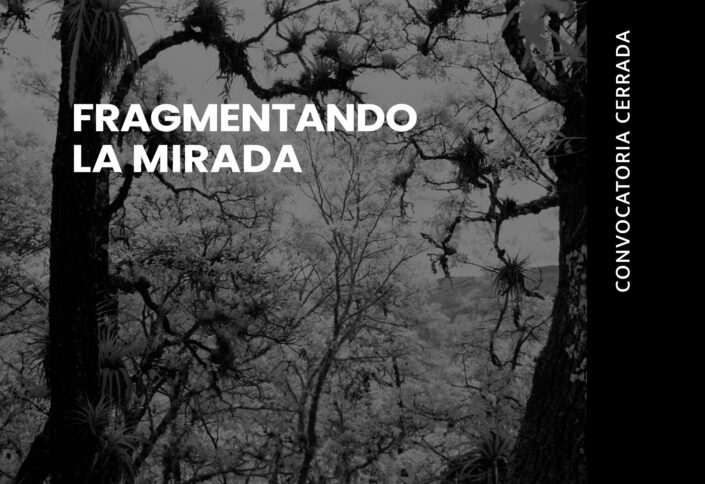 Fragmentando-la-mirada-cerrado