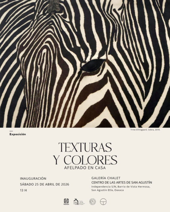 Texturas-y-colores3